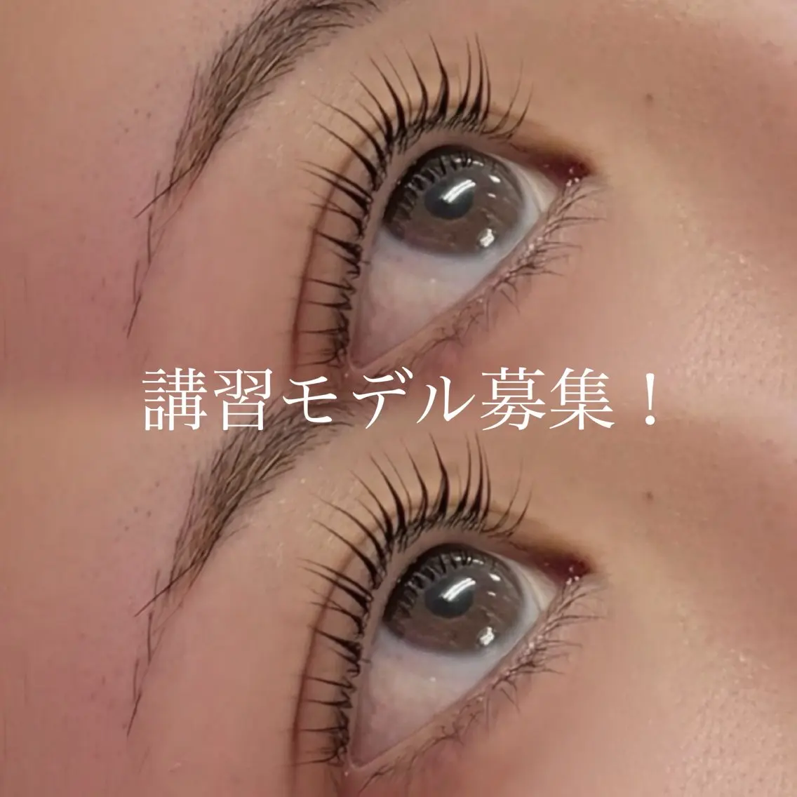 【7/28 13:30限定‼️】🌟眉Wax&まつ毛パーマ講習モデル🌟の写真