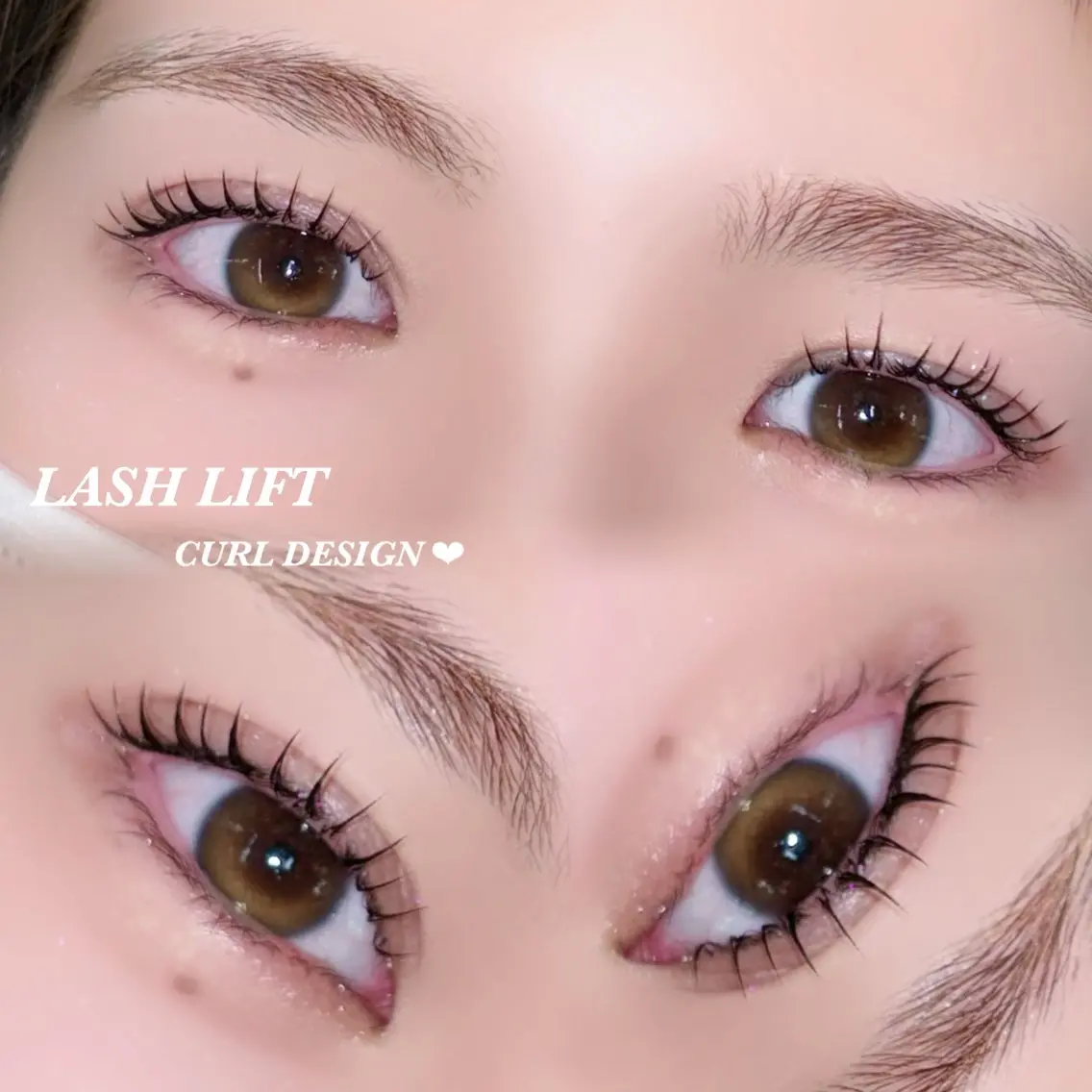 【♡移転キャンペーン♡】 まつげパーマ上のみ+ トリートメント仕上げ🫧の写真