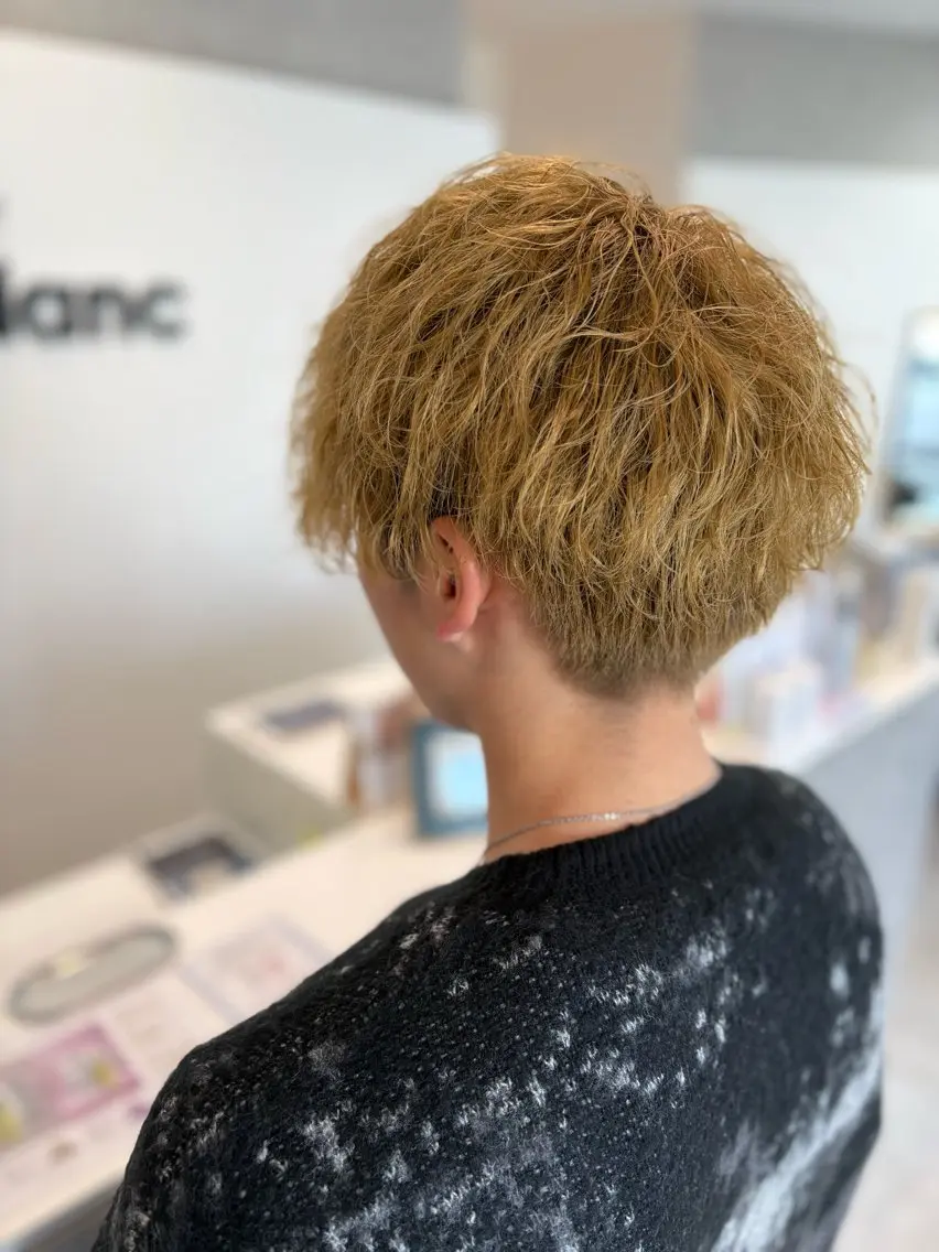 ショート カラー メンズ blanc/ Aoyagiのヘアスタイル
