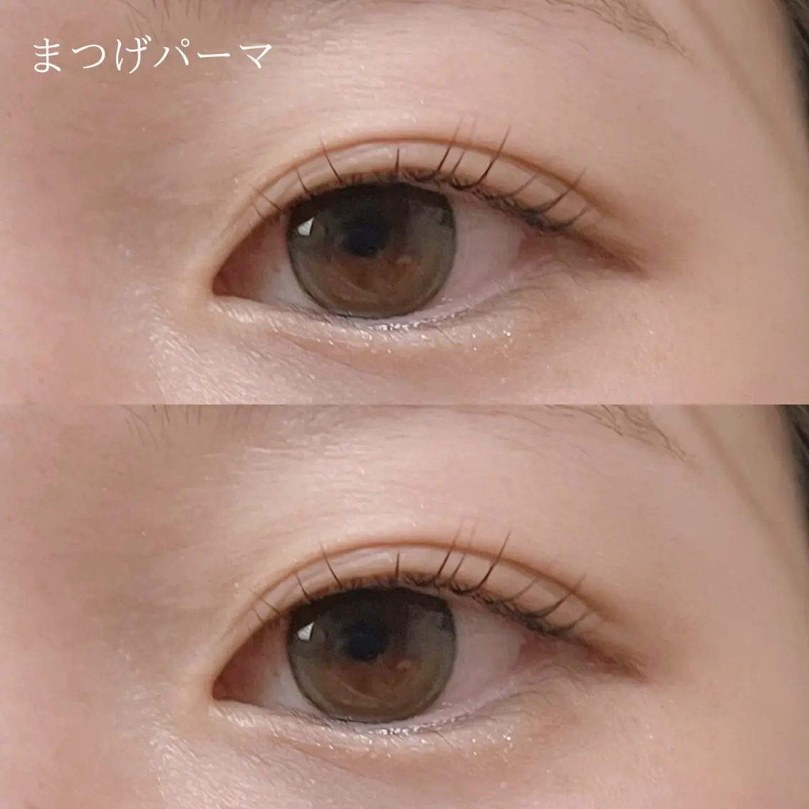 マツエク・マツパ まつげパーマ sete💫 mizukiのマツエク・マツパデザイン