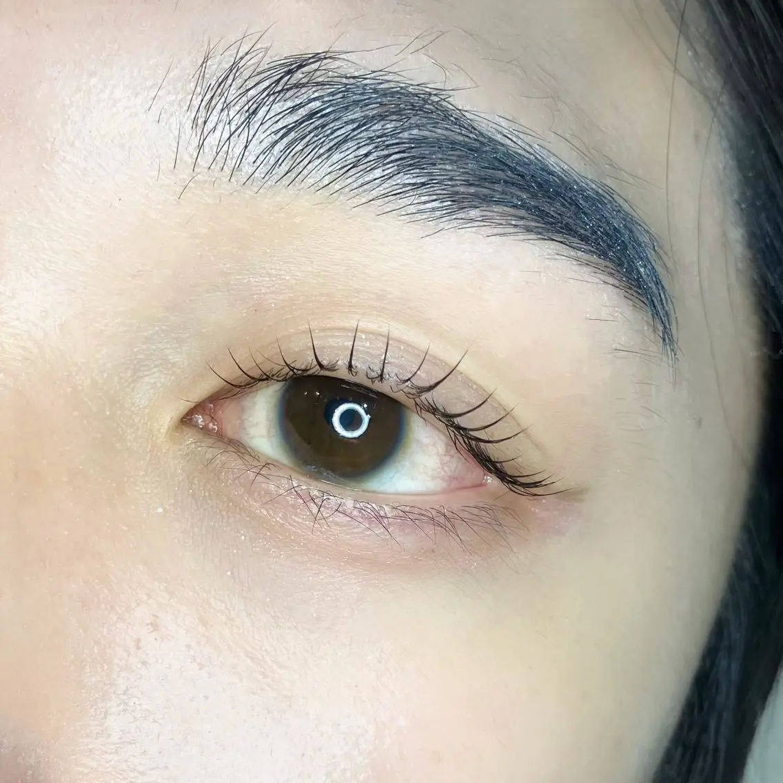 メンズ マツエク・マツパ メンズパーマ 一重×まつ毛パーマ マツパ bunny eyes 有本の眉毛・アイブロウイメージ