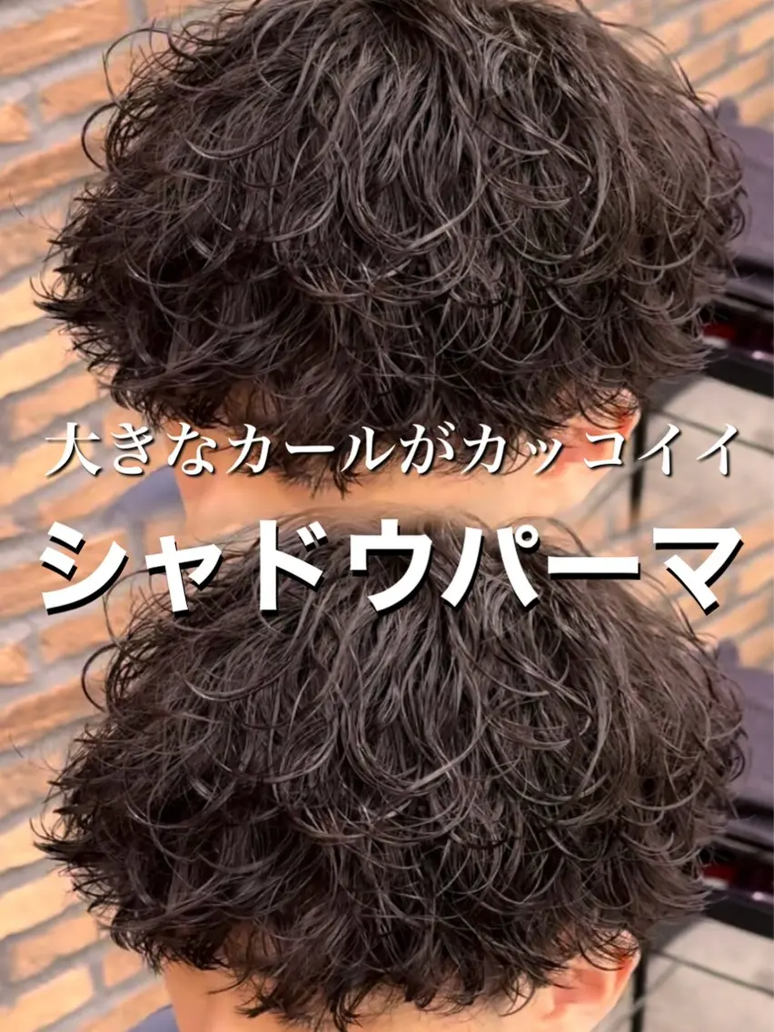 パーマ メンズ カット パーマ シャドウ/フェザー 朝崎倭斗のヘアスタイル