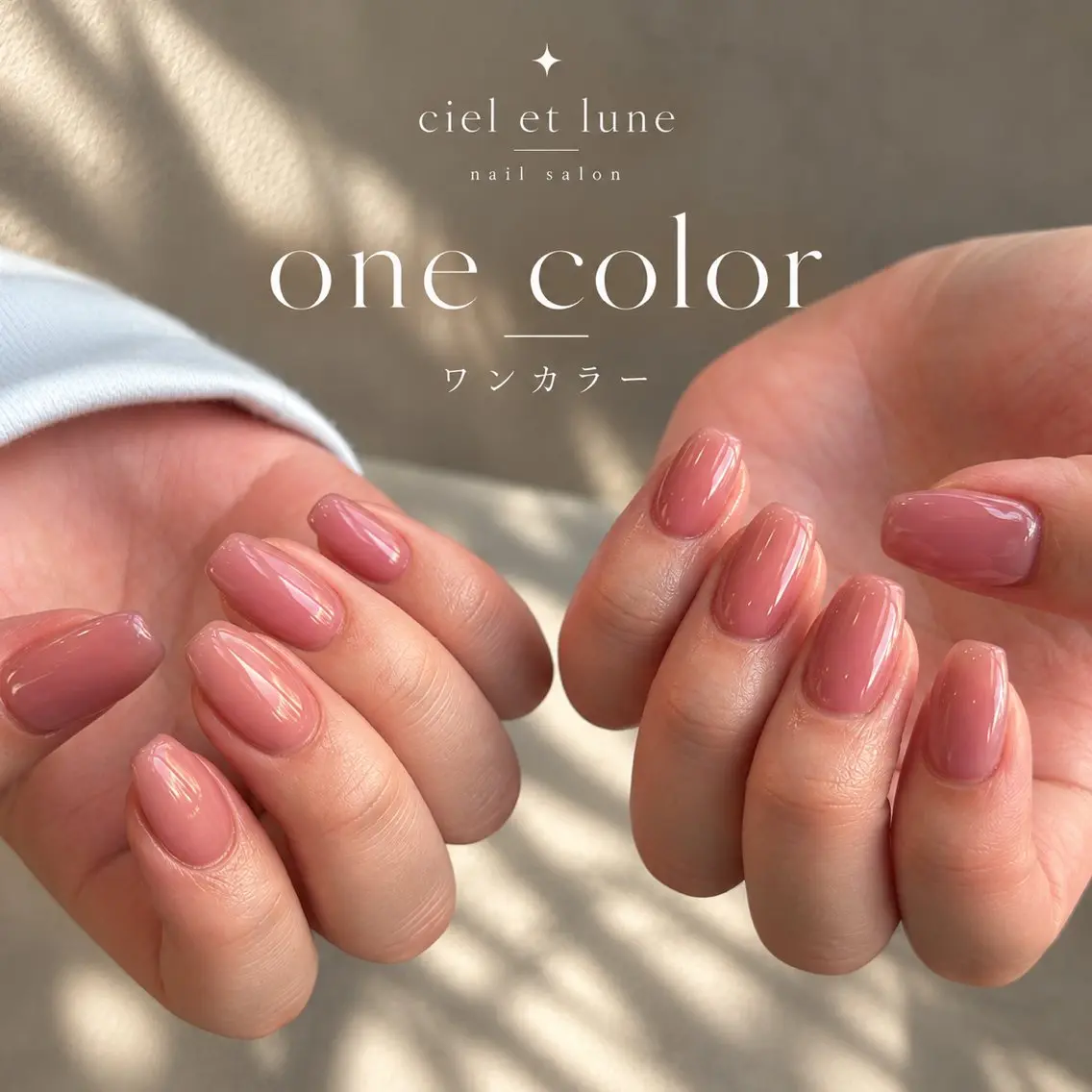 ✋🏼【hand】one colorの写真