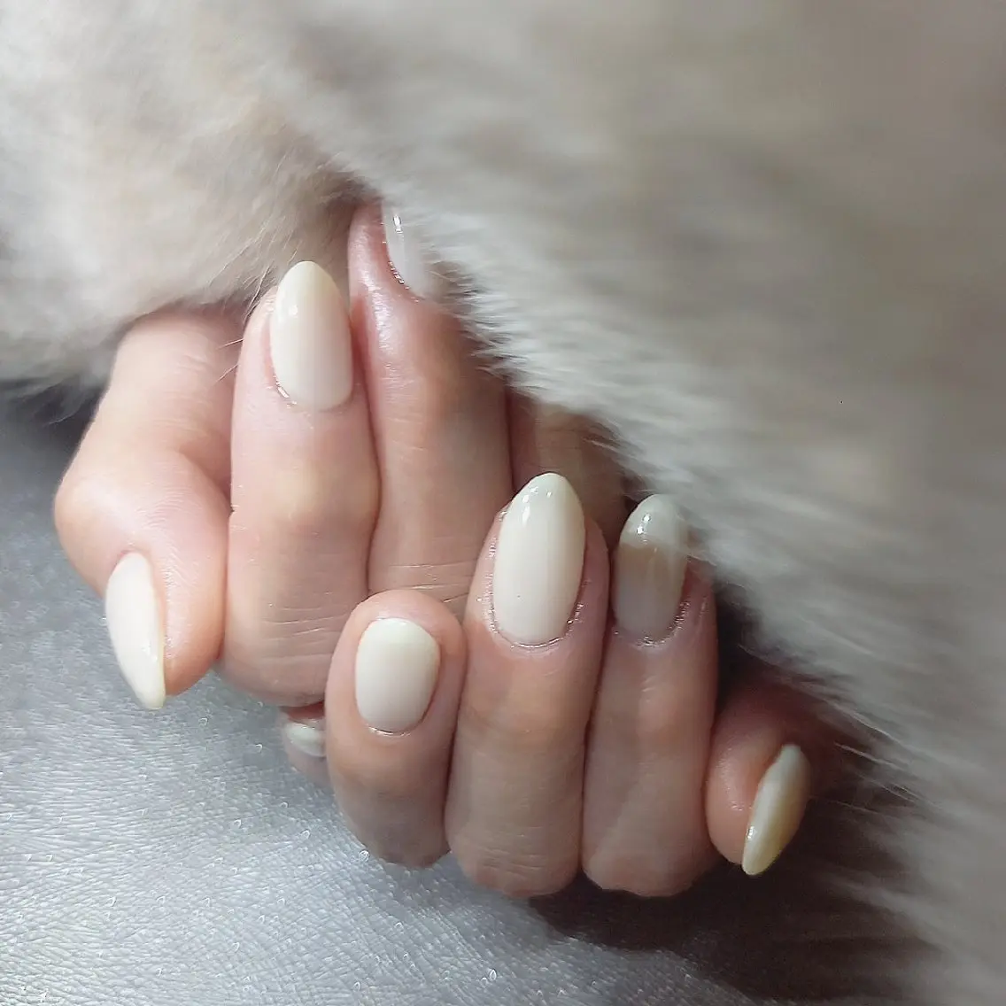 ネイル ワンカラーネイル ホワイト salon de  Princessのネイルデザイン