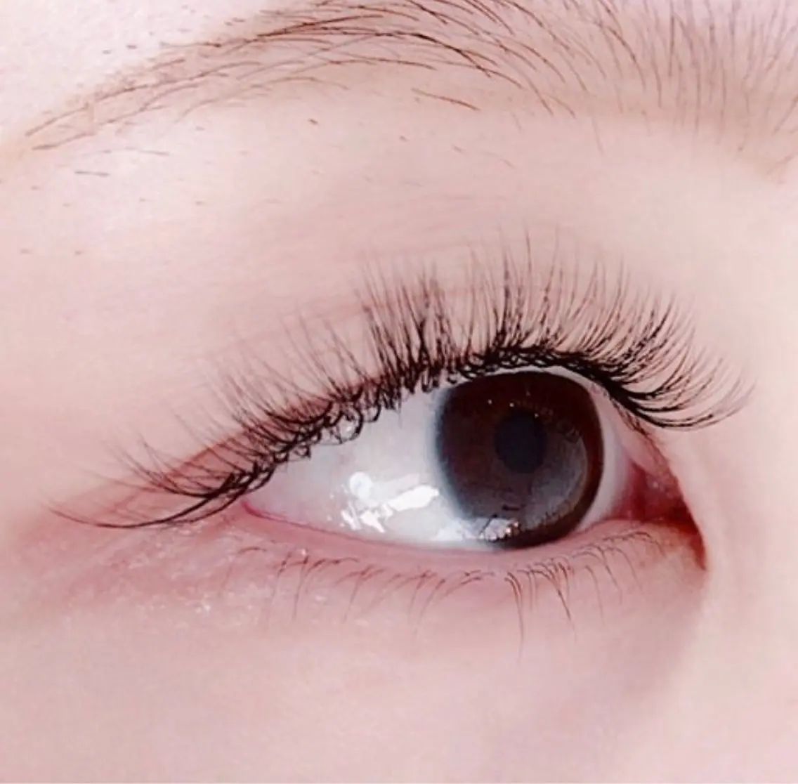 マツエク・マツパ ボリュームラッシュ soposilma 🧸今季OPENのマツエク・マツパデザイン