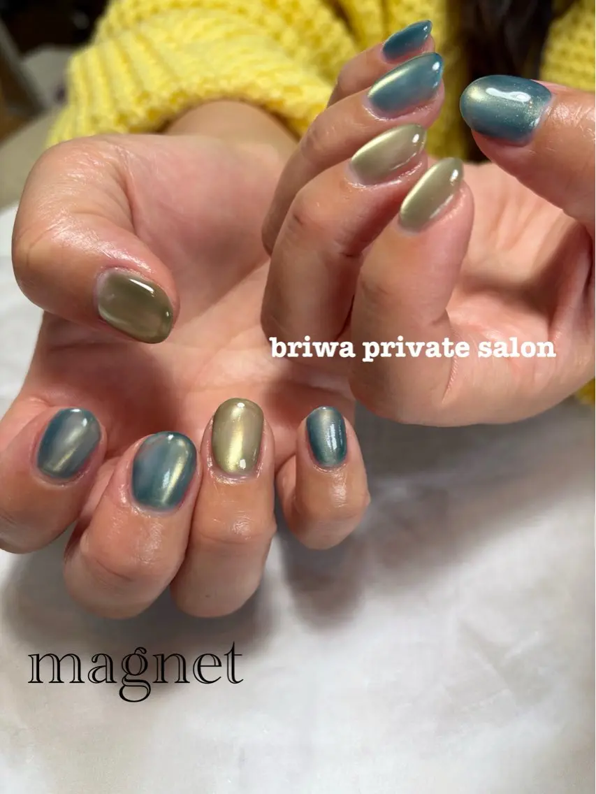 ネイル マグネットネイル Briwa✨nail 💅enoi ❤︎のネイルデザイン