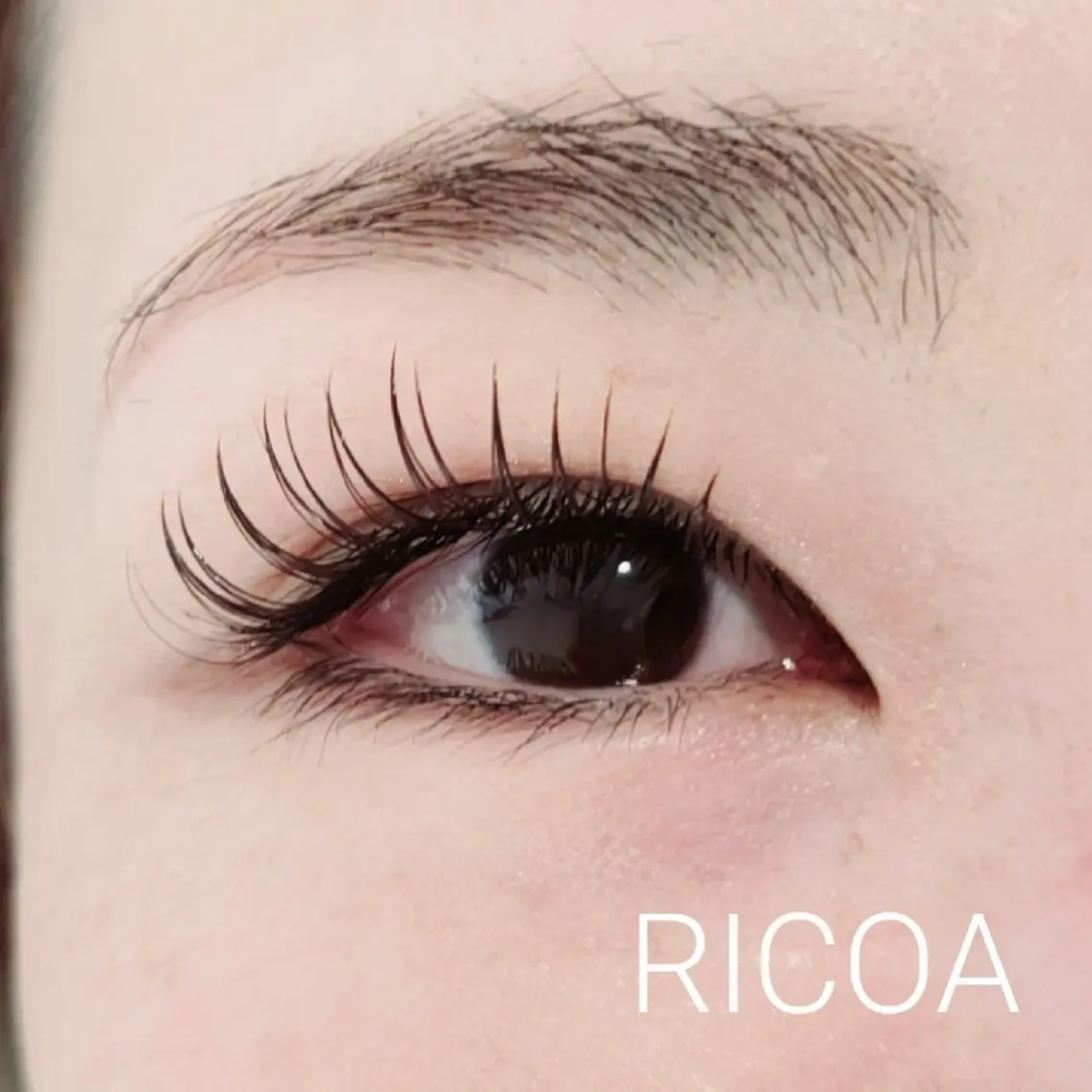 マツエク・マツパ カラーマツエク フラットラッシュ マツエク RICOA 酒井のマツエク・マツパデザイン