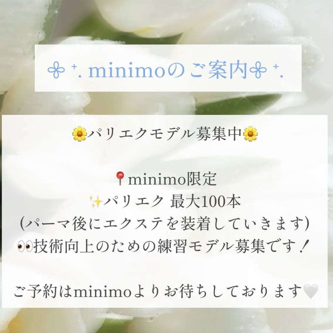 マツエク・マツパ マツエク ロレインアイ MIYUKIのマツエク・マツパデザイン