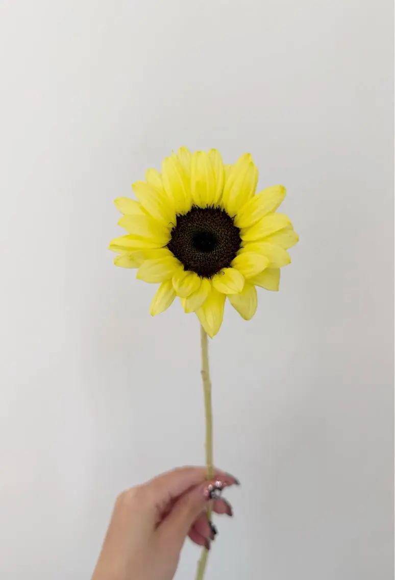 カット ヘアカラー トリートメント 🌻花屋併設🌻濱 幸帆のヘアスタイル