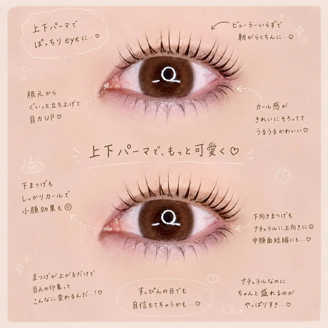 上下ラッシュリフト🌼の写真