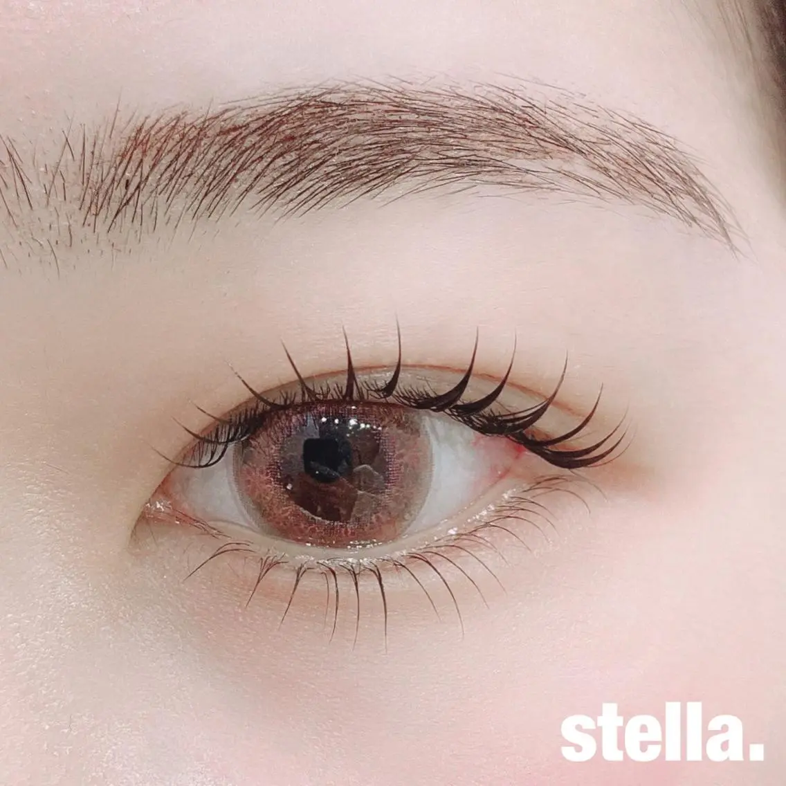 🎀下まつ毛エクステ20〜30本🎀の写真