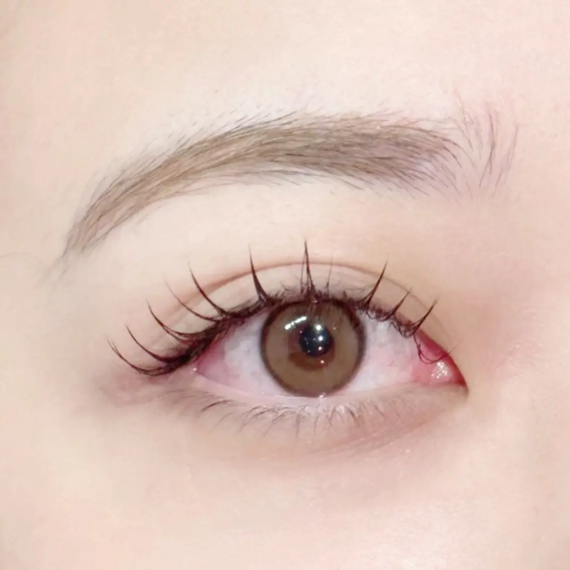 【🧚‍♂️大人気ナチュラル盛れ🧚‍♂️】最高級セーブルエクステ→140本→フラットラッシュ＋500円✨当日変更可能！の写真