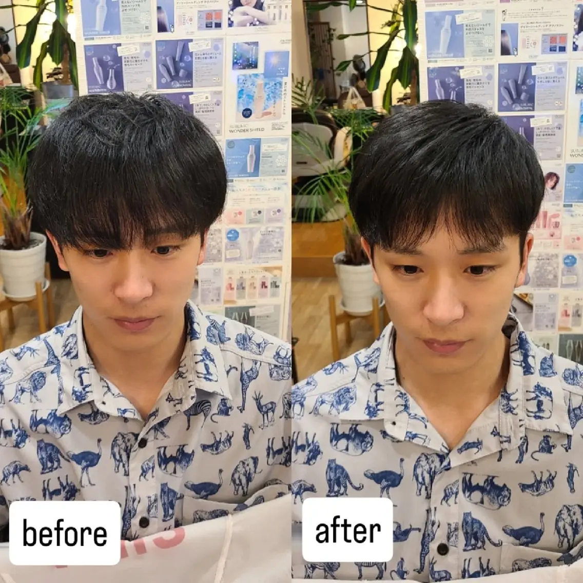 メンズ シ マのヘアスタイル