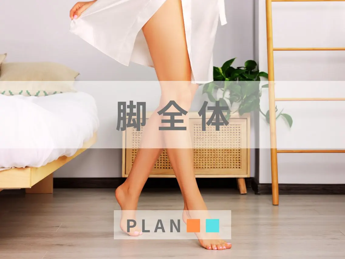 【女性】脚全体脱毛 "憧れの美脚へ"の写真