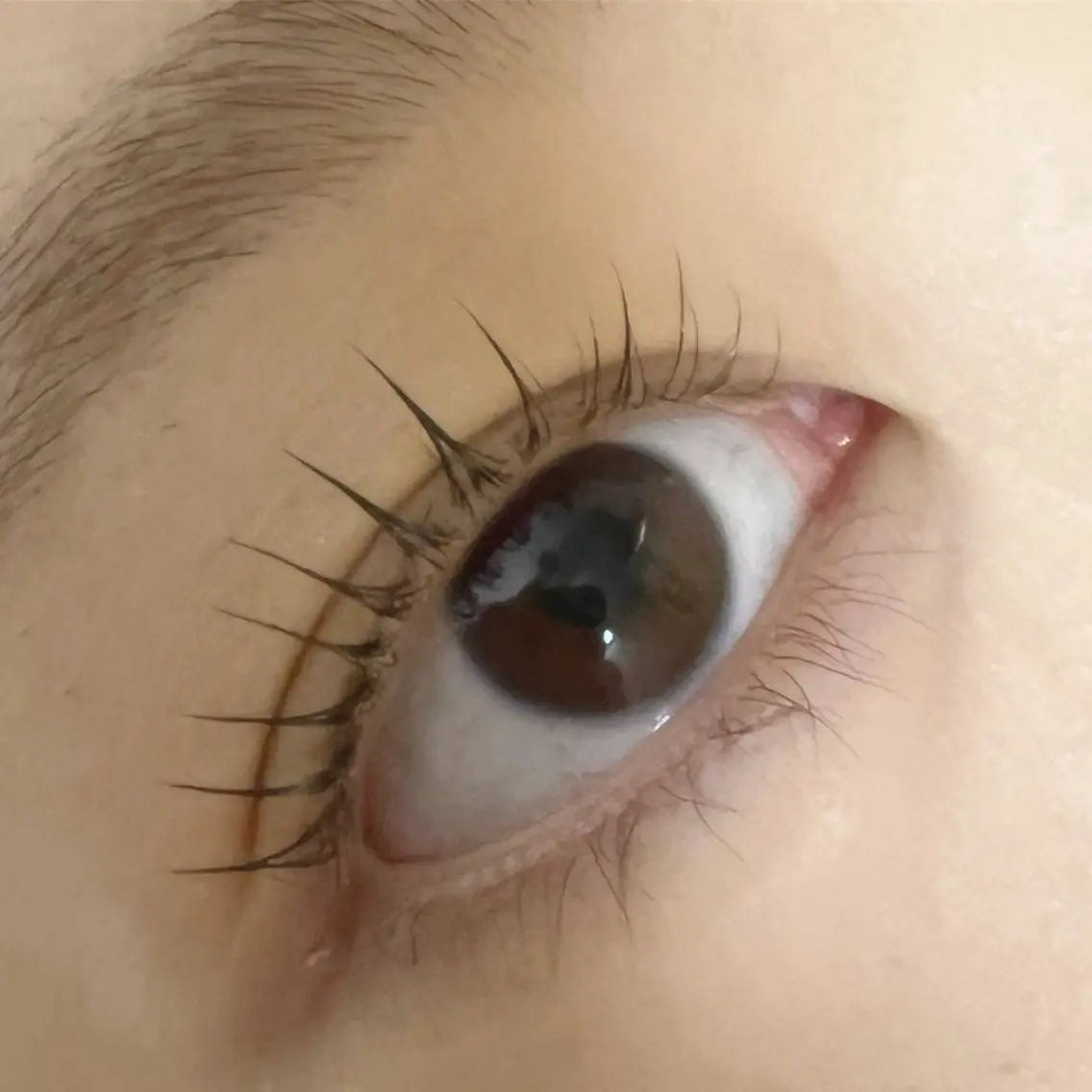マツエク・マツパ eyelash CREAのマツエク・マツパデザイン