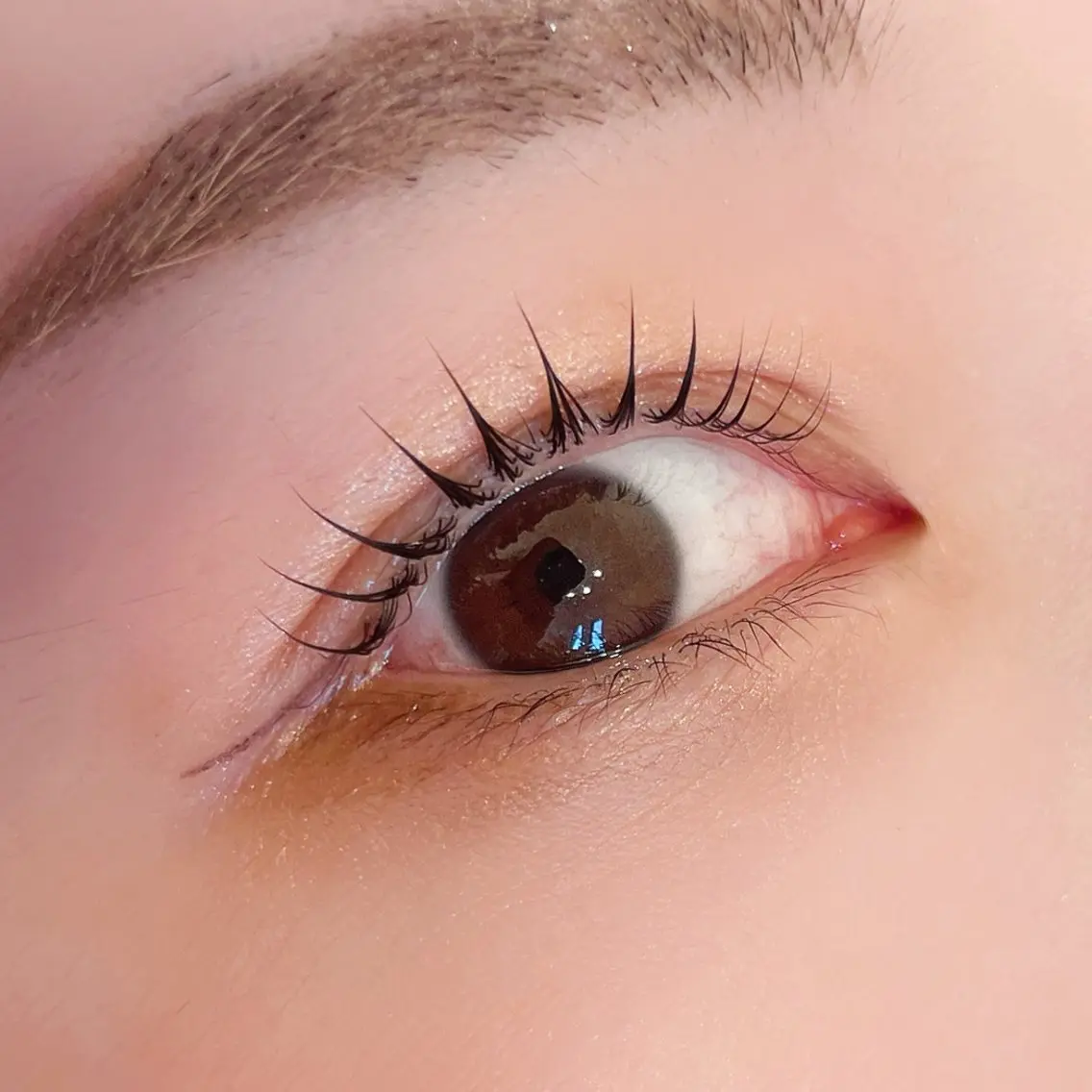 💕当日限定💕まつげパーマ👀✨《上》コーティング付🌱の写真