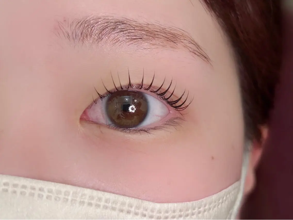 研修モデル募集👀🫧まつ毛パーマ/パリジェンヌ/韓国パーマ(上まつ毛パーマモデル募集)⚠️日付、時間指定ありの写真