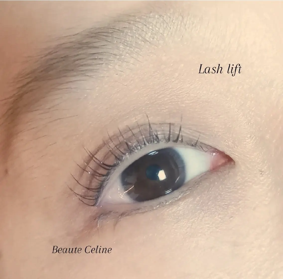 マツエク・マツパ 束感まつ毛 マツパ LED✨beaute Celine🌛🌹のマツエク・マツパデザイン