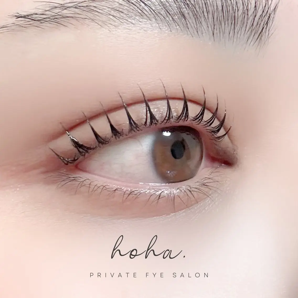 マツエク・マツパ 束感まつ毛 韓国風マツエク まつげパーマ salon le hoha.のマツエク・マツパデザイン