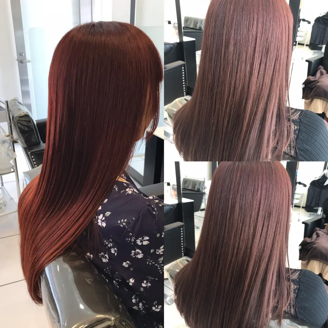 セミロング カラー YASU🍎CUT 赤系カラー/ヘアケアのヘアスタイル