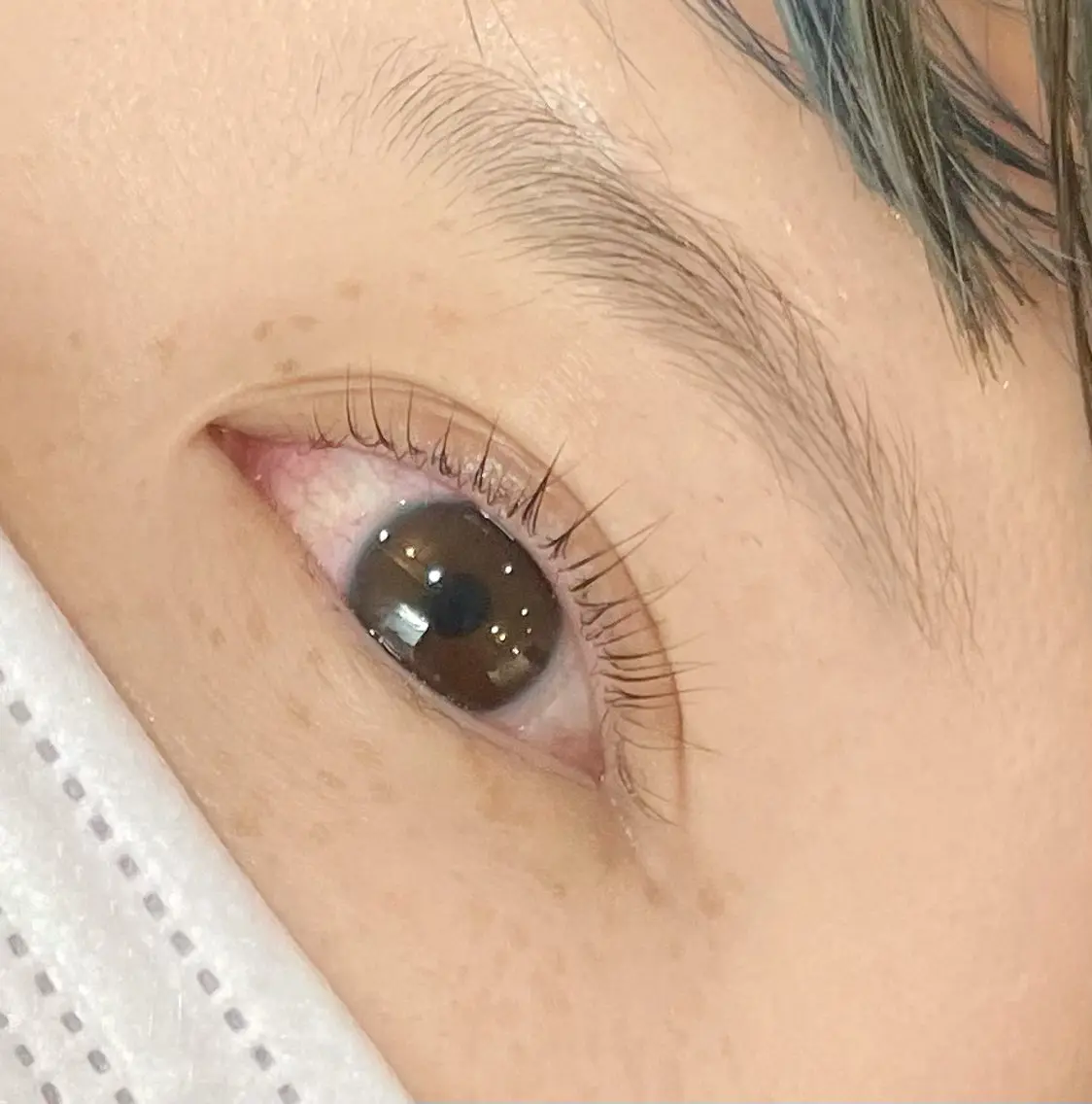 マツエク・マツパ 👑EYELA 柏／ 川村👑の眉毛・アイブロウイメージ