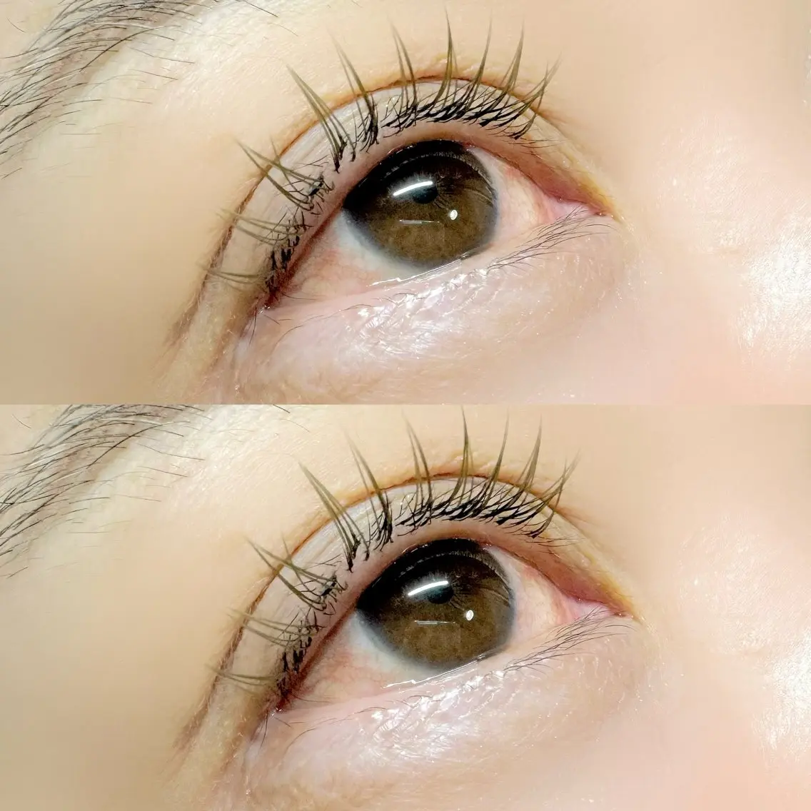 マツエク・マツパ マツエク Moyu eyelashのマツエク・マツパデザイン