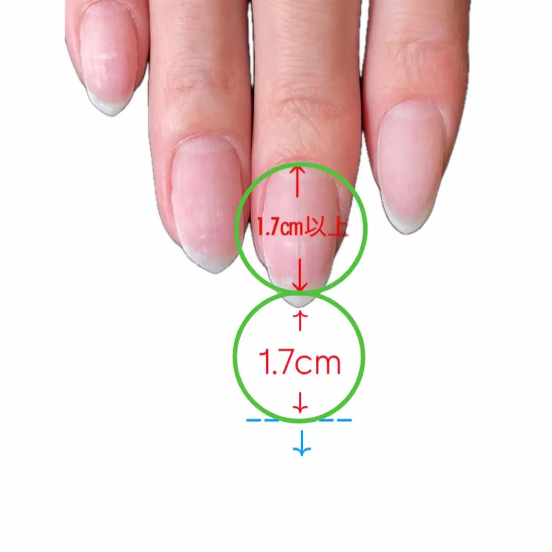 ネイル グリーン ロングネイル Nail salon Syukuのネイルデザイン