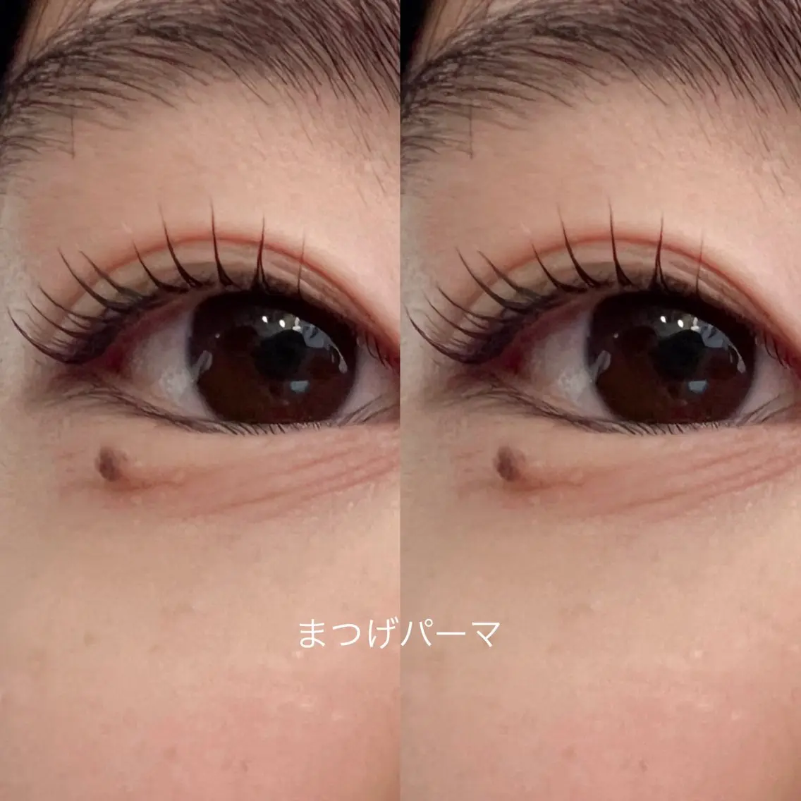 マツエク・マツパ elua 茨木店のマツエク・マツパデザイン