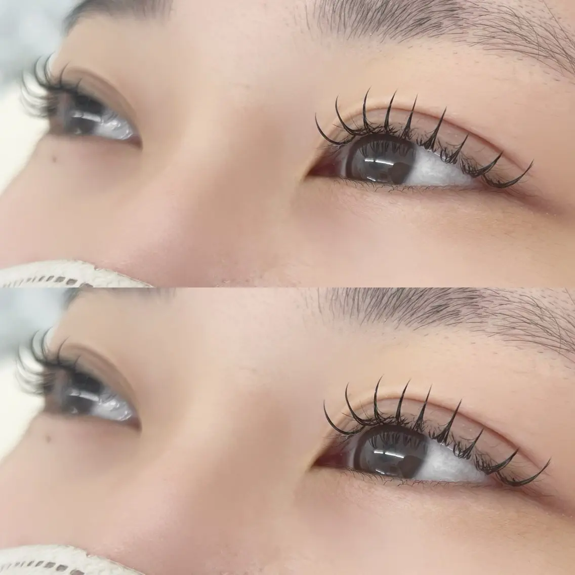 🦋 モチ◎フラットラッシュ100本【オフ有り】の写真