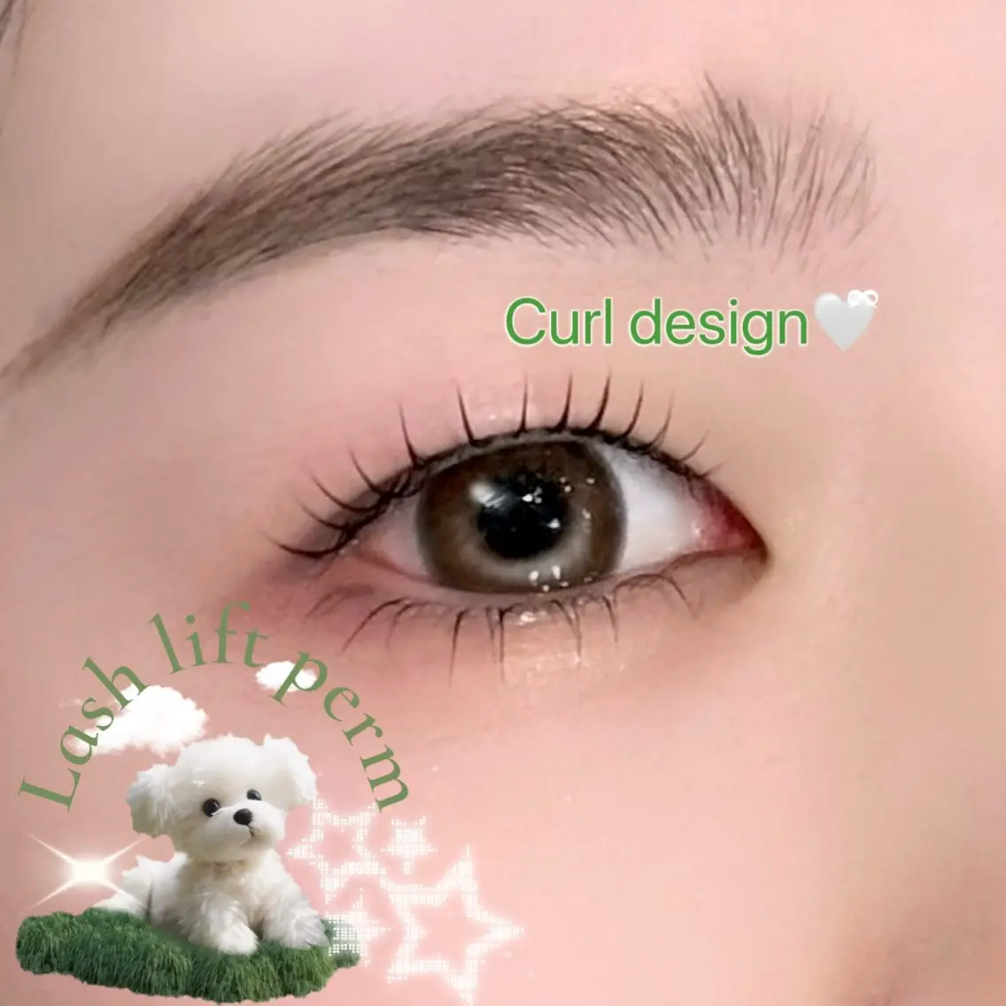 マツエク・マツパ マツパ 🐈⬛Mahiro /eyelash🌙のマツエク・マツパデザイン
