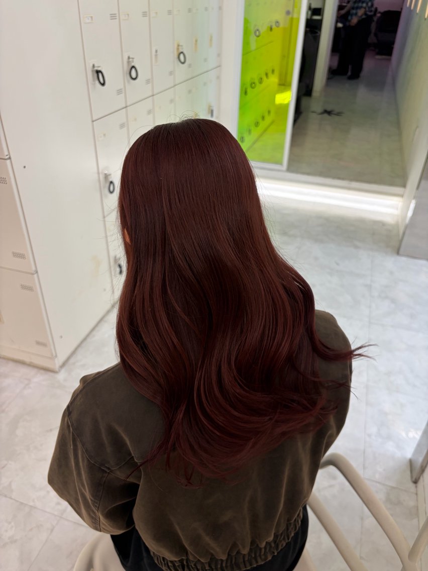 カラー ヘアカラー トリートメント ヘアセット 韓国girly 🪽🫧ハルナ🎀のヘアスタイル