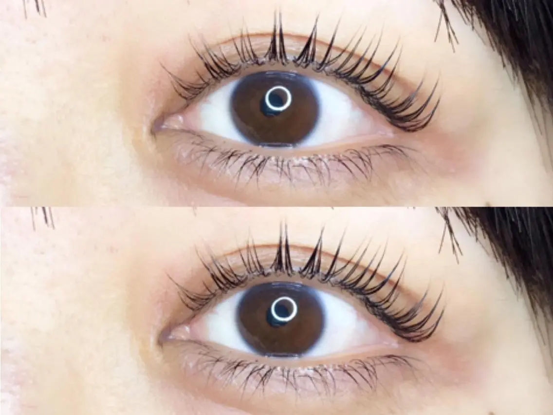 マツエク・マツパ 《eyelash ｉｉｔｅ》森のマツエク・マツパデザイン