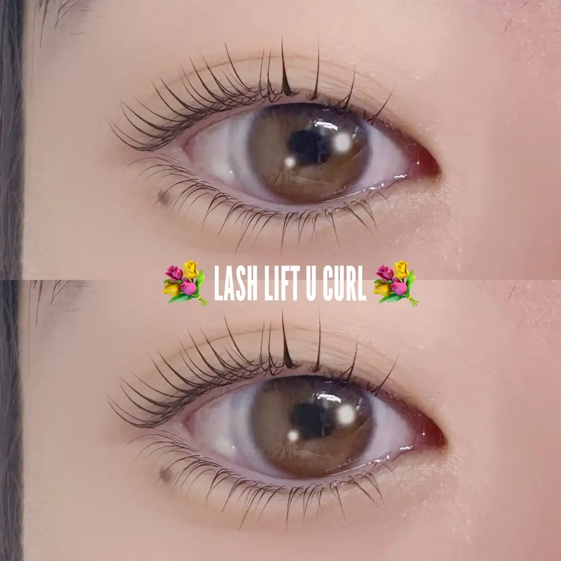 🎀まつ毛パーマ🎀の写真