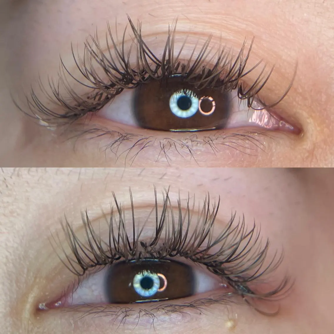 マツエク・マツパ 付け放題 カラーマツエク フラットラッシュ linda lashesのマツエク・マツパデザイン