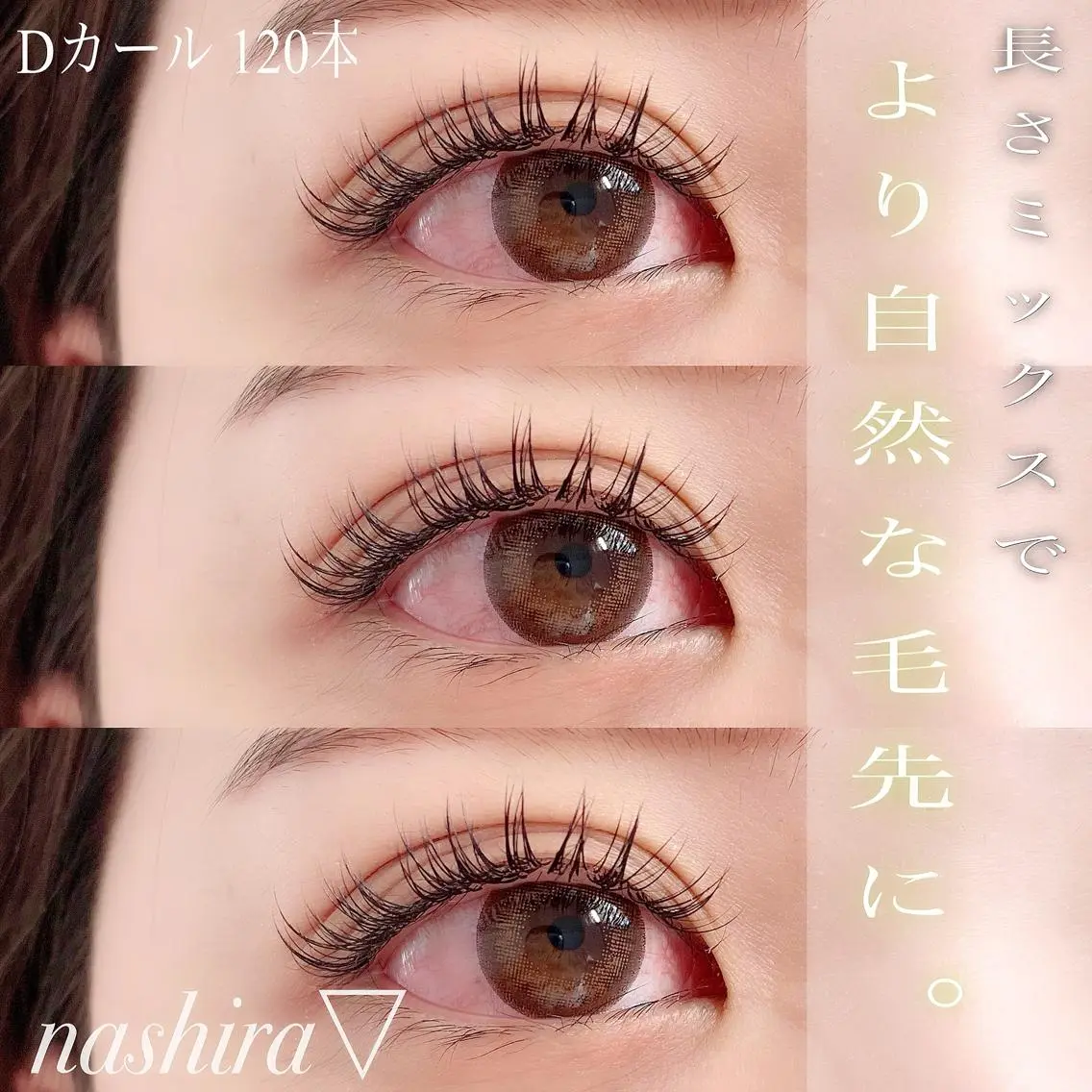 マツエク・マツパ Dカール ナチュラル nashira恵比寿 まつ毛&眉毛サロンのマツエク・マツパデザイン