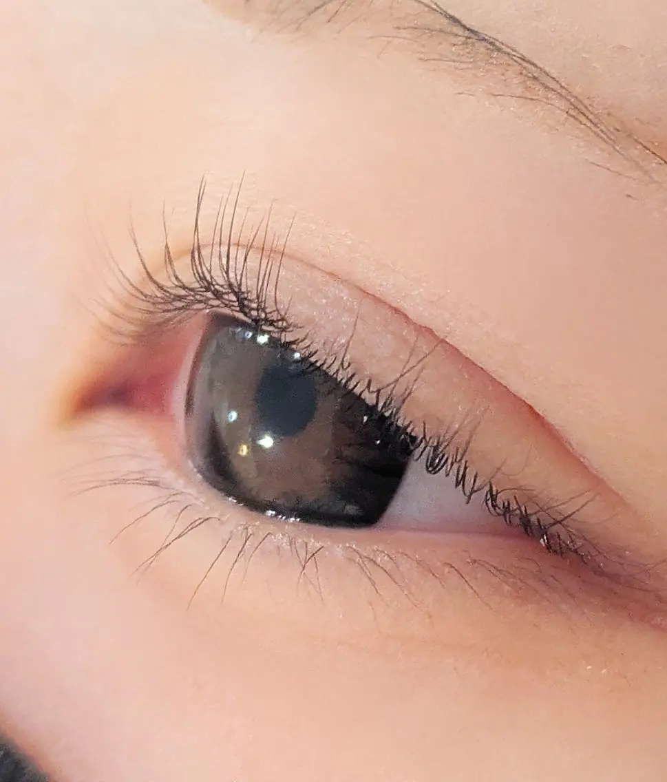 マツエク・マツパ eyelashZen RINGO︎🤍の眉毛・アイブロウイメージ
