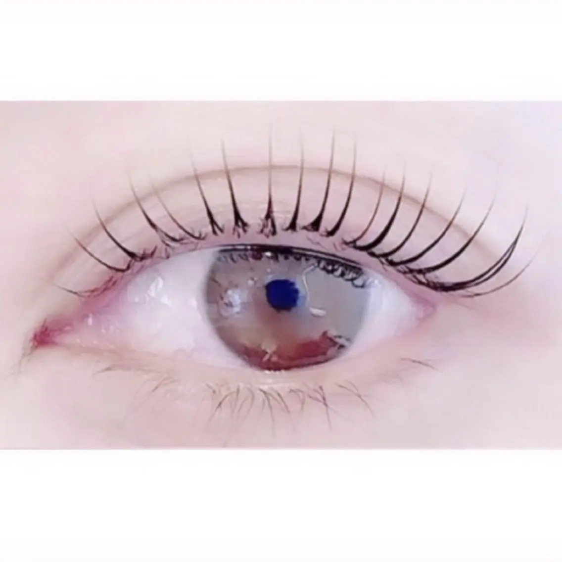 ✨️5月限定価格✨️ マツパ／パリジェンヌ❤️の写真