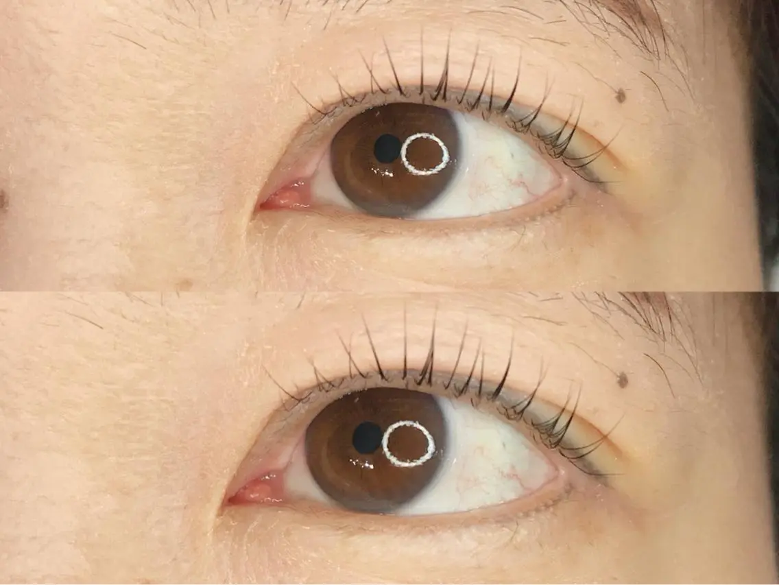 マツエク・マツパ 《eyelash ｉｉｔｅ》森のマツエク・マツパデザイン