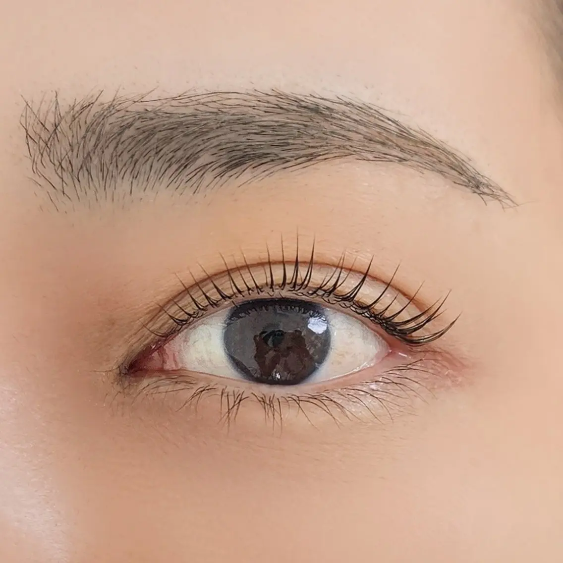 マツエク・マツパ パリジェンヌラッシュリフト Eyelash aoiのマツエク・マツパデザイン