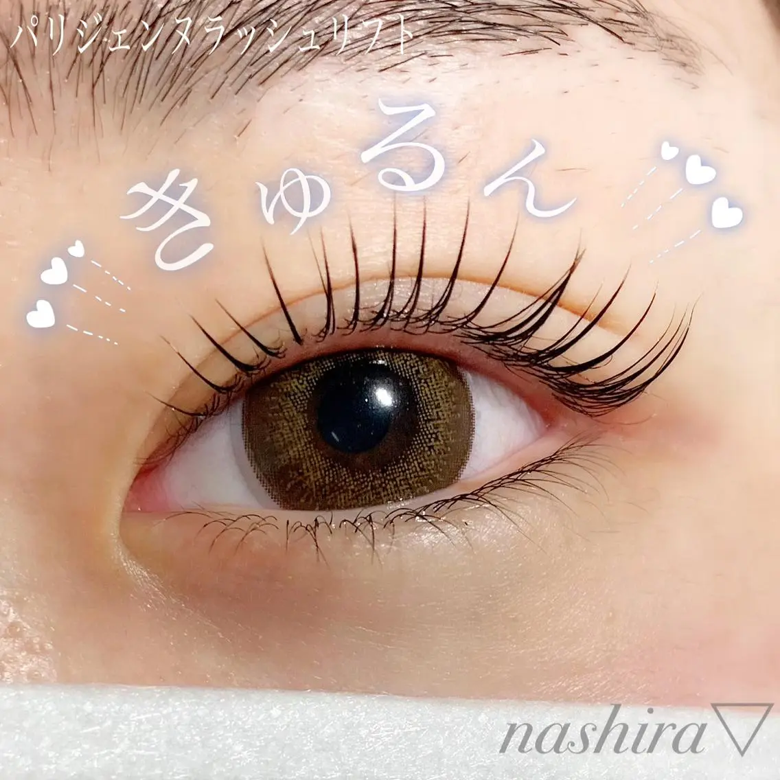 マツエク・マツパ パリジェンヌラッシュリフト 一重×まつ毛パーマ nashira恵比寿 まつ毛&眉毛サロンのマツエク・マツパデザイン