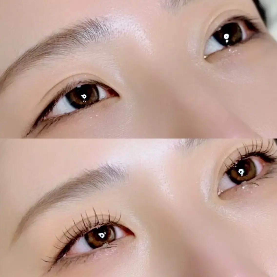 眉Waxの写真