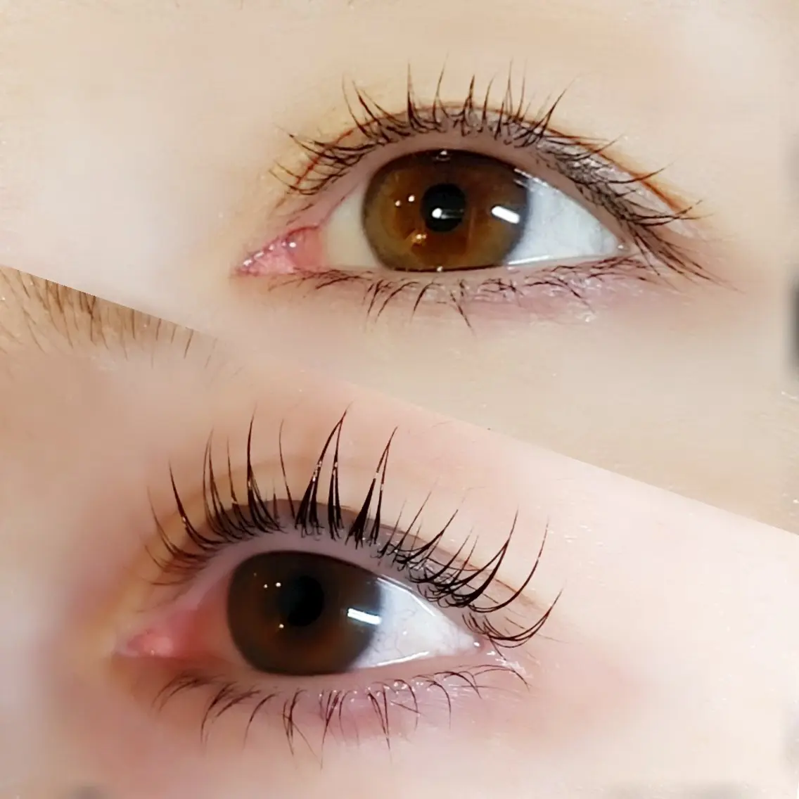 ニューヨーク発祥✨️TRケア付きまつげパーマ👀の写真