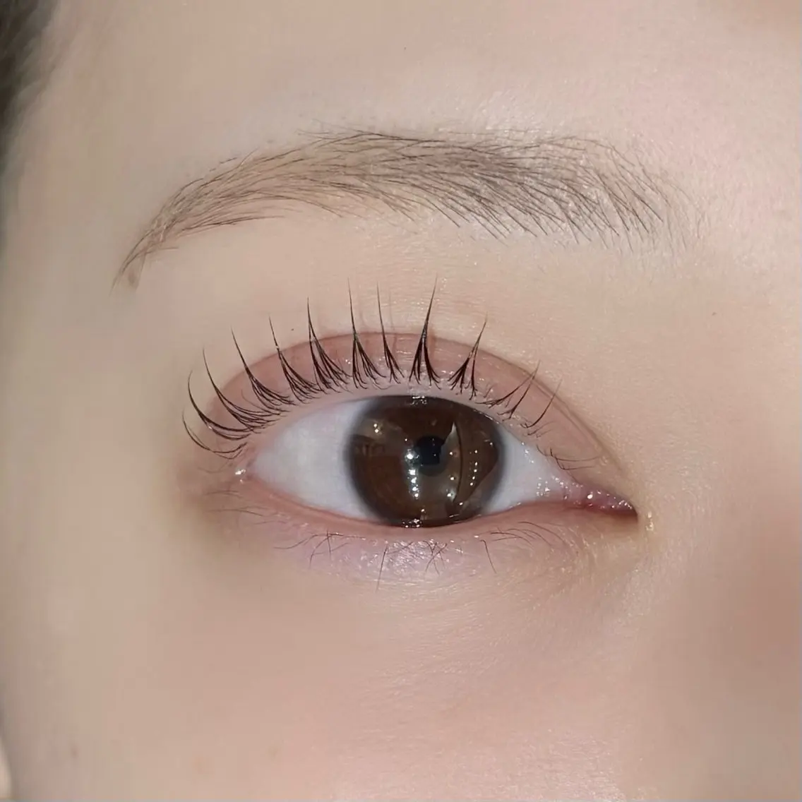 パリジェンヌラッシュリフト【美容液コーティング付き】の写真
