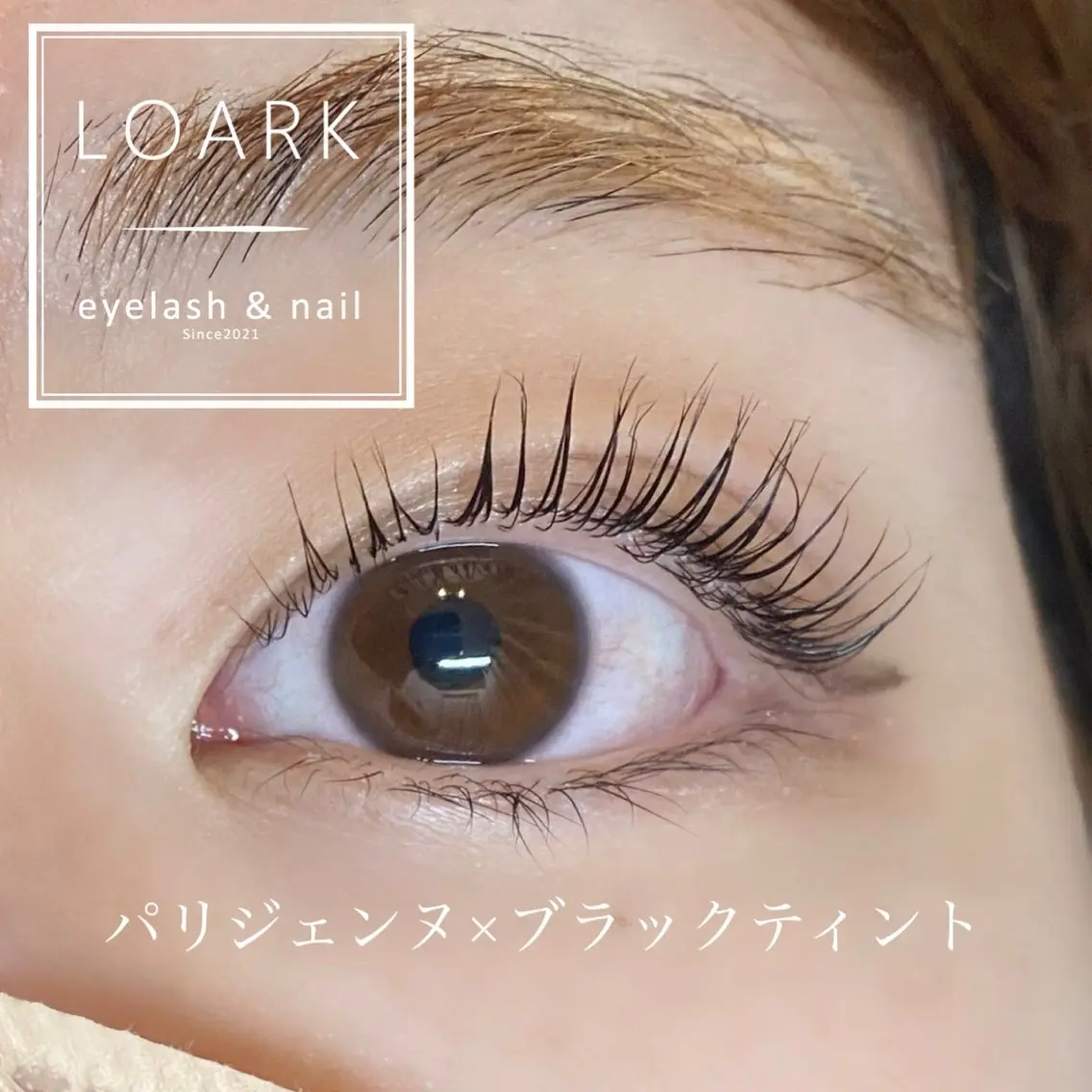 ✨️NEW✨️🌸ブラックティント×パリジェンヌ🌸の写真