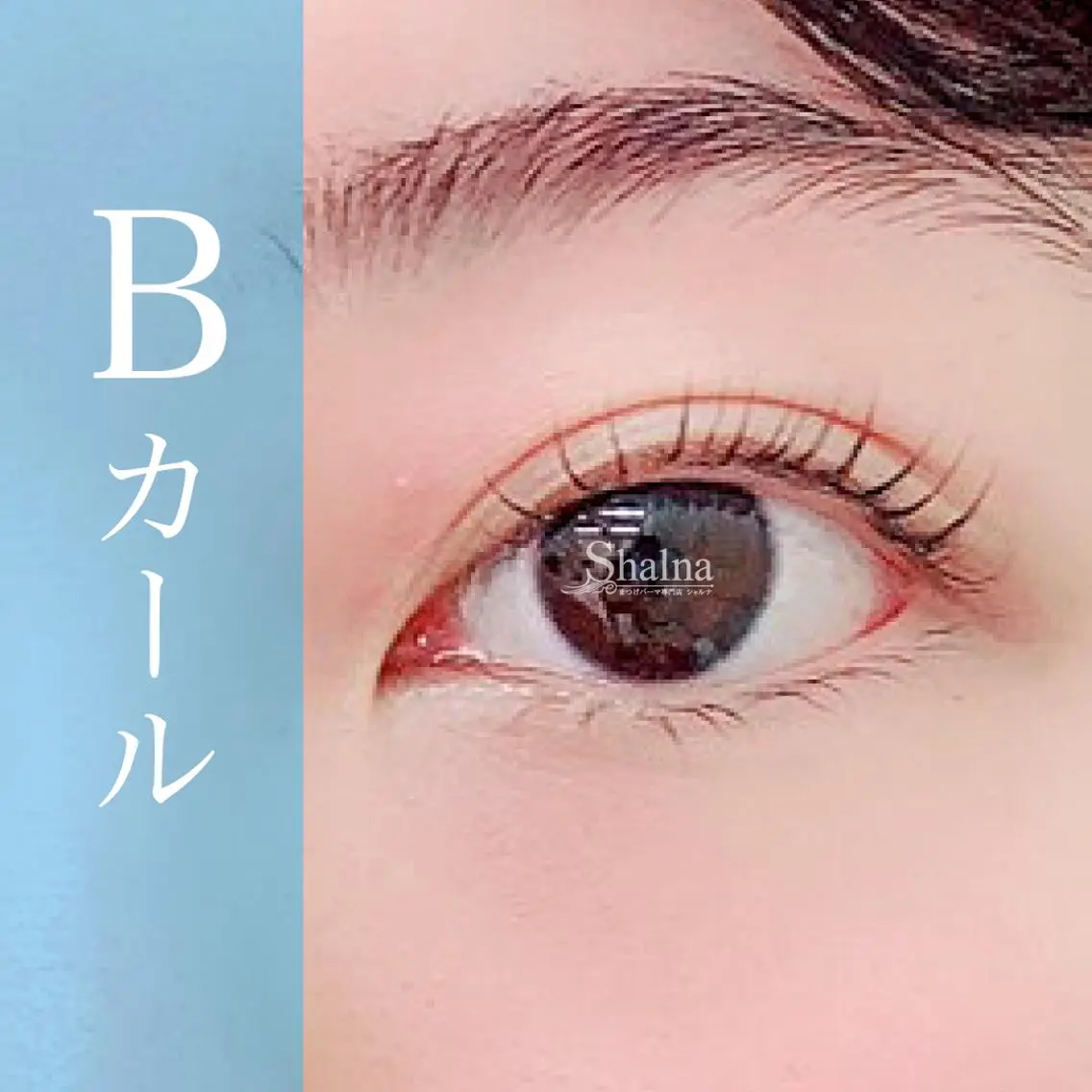 マツエク・マツパ Bカール まつげパーマ まつげパーマ専門店 シャルナ　新宿店のマツエク・マツパデザイン