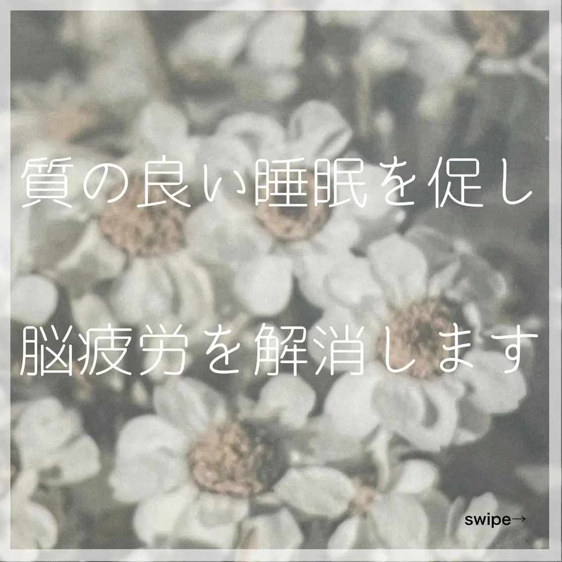エステ リラク 髪/まつげ/眉/毛穴 ハーブ/他/AIKOのその他イメージ