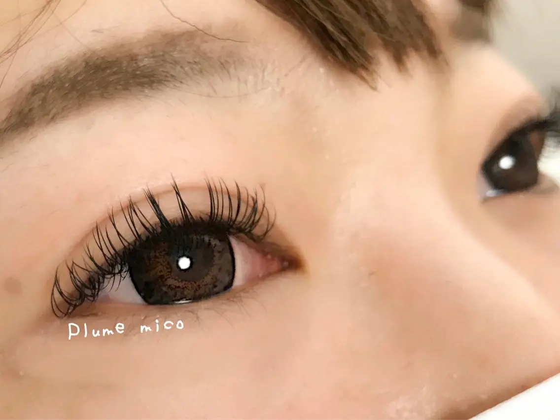 マツエク・マツパ Dカール マツエク Plume micoのマツエク・マツパデザイン