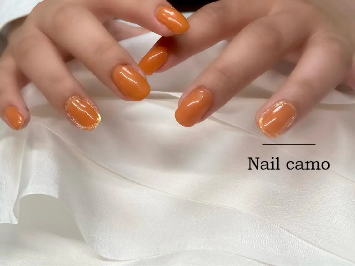 ネイル オーロラネイル クリアネイル ワンカラーネイル ハンドネイル 🌟Nail camo🌟のネイルデザイン