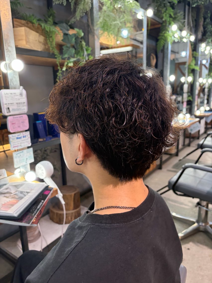 ショート 高橋 航大のヘアスタイル