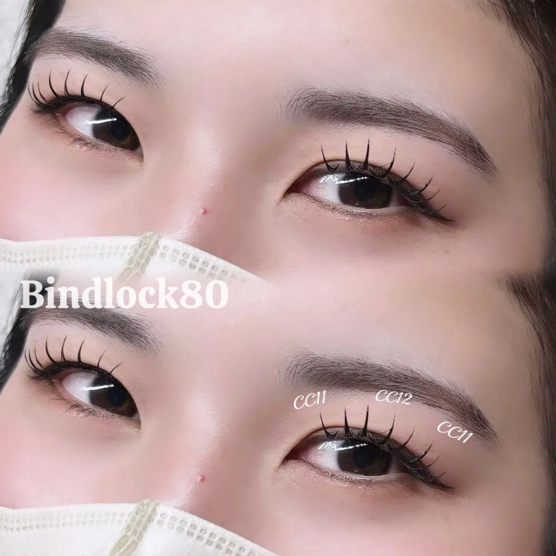 バインドロック80束の写真
